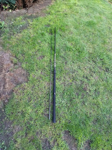 Dam quicksilver 10ft leger - dam,