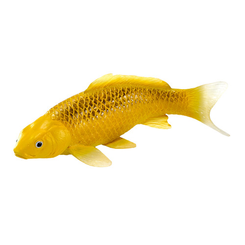 Mojo kin matsuba - kin, koi