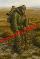 Royal Marines Falklands War