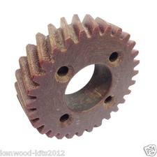 Hobart 55614-1 Fibre Gear Worm