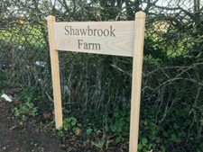 Large Short Engraved Oak