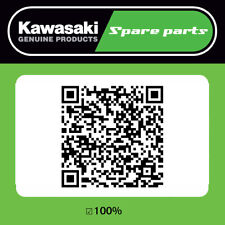 Kawasaki Genuine Tyre Pressure