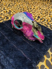 Ovis Aries ewe Sheep Taxidermy