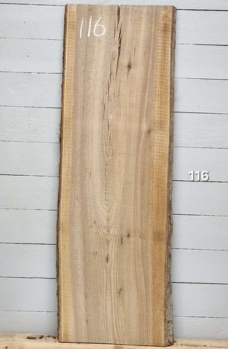 Elm live edge timber - edge, x