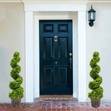 2X Large Artificial Spiral