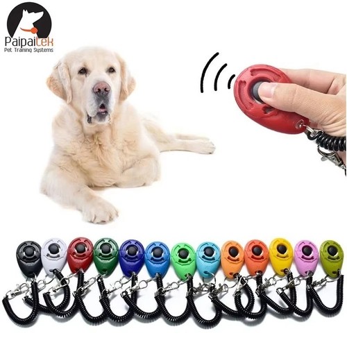 Dog training clicker pet - dog,