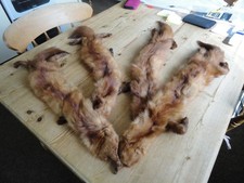 Ladies Mink Stole, 4 Mink