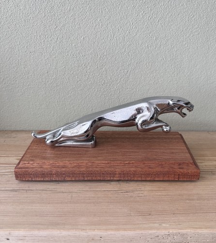 Original jaguar leaping - original, cat
