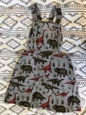 Run and Fly Dinosaur Dungaree