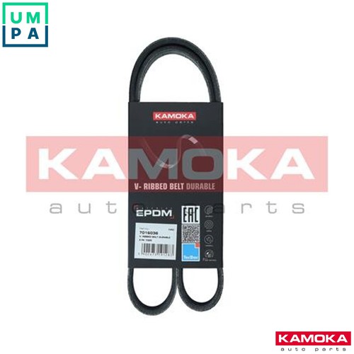 Vribbed belt 7016036 - belt,