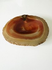 Orange Agate Slice with Quartz