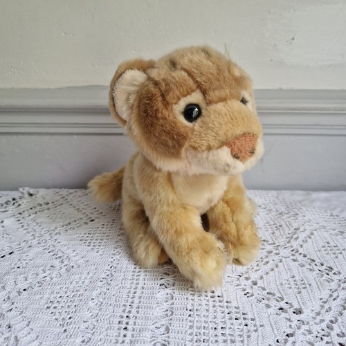Adorable cute small - lion, cub