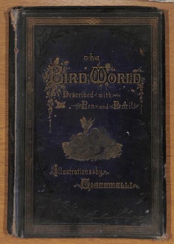 The bird world described - described, with