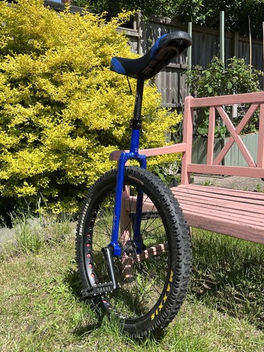 Kris holm mountain - 24”,