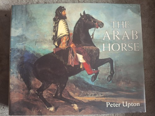 Arab horse peter upton - horse,
