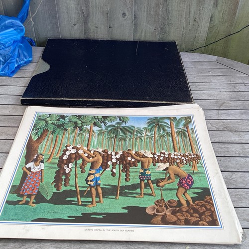Vintage educational posters - vintage,