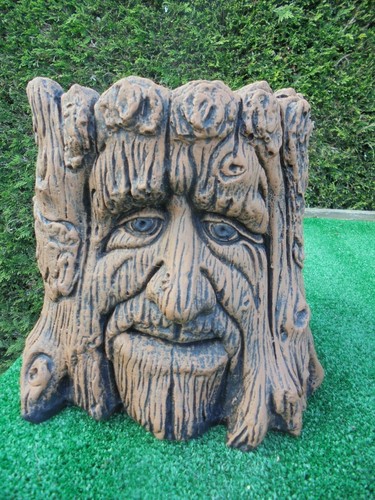 Tree trunk face - , planter