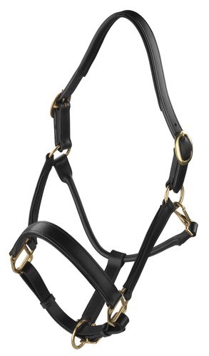 Horse leather head collar - head,