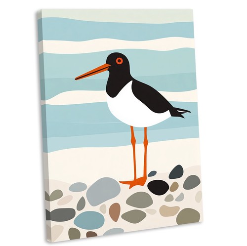 Oystercatcher canvas wall art - wall,