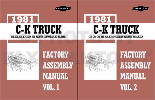 1981 chevy pickup truck - chevy,