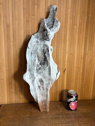 Driftwood piece best silvered - piece,