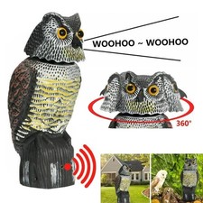 Large Realistic Owl Decoy