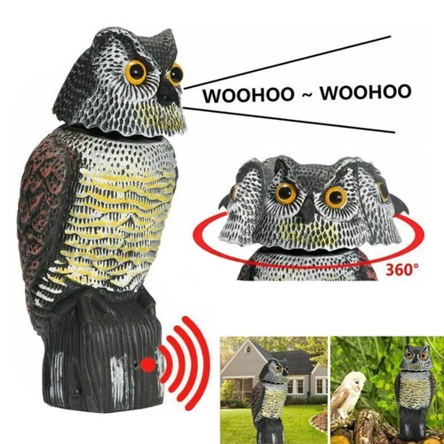 Large realistic owl decoy - realistic,
