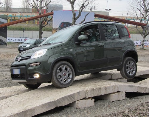 Fiat panda owner - panda, user