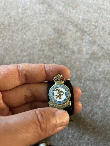Sqn raf lapel - sqn,