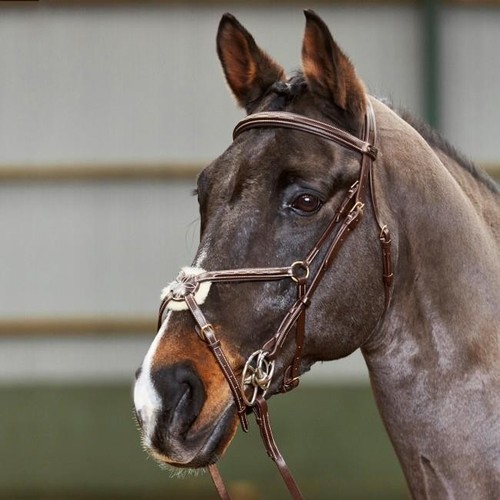 John whitaker valencia premium - john,