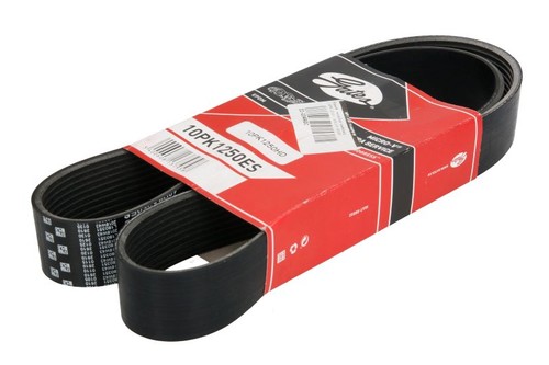 Gat multi ribbed belt fits - multi,