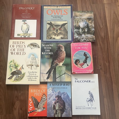 Vintage rare falconry - vintage,