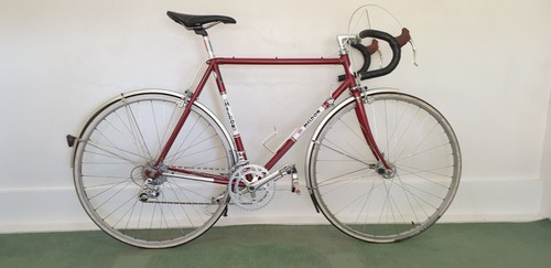 Classic audax road bike - audax,