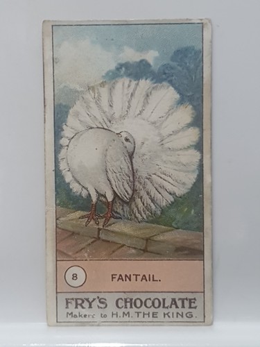 Frys pure cocoa - cocoa, fowls