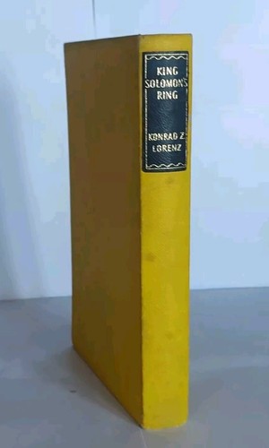 King solomon ring konrad - solomon's,