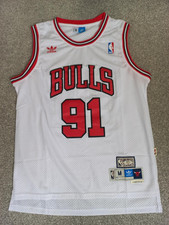 Adidas Dennis Rodman Chicago