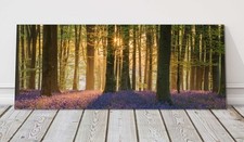 Bluebell forest in the morning sunlight, panoramic canvas picture print
