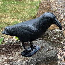 37cm Black Plastic Pigeon