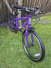 Frog children bike - frog,