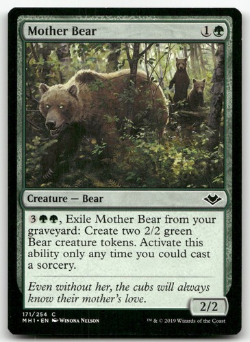 Mother bear 171 - bear, (nm)