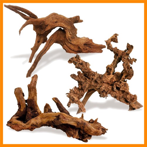 Natural driftwood for aquarium - natural,