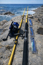 Sea Fishing Bass Rod & Reel