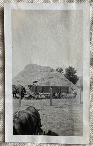 Vtg photo farm dray - photo, wood