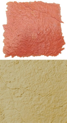 Mould plaster floor printed - mould,