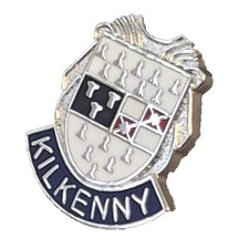 Kilkenny City Small Pin Badge