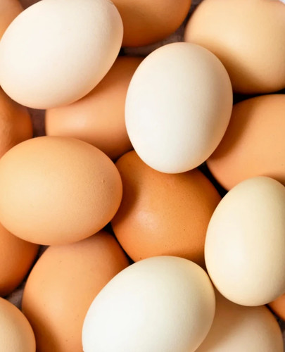 Free range eggs - from, my