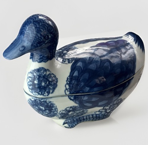 Blue white duck nest - duck,