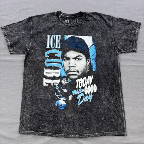 Ice cube today was - cube,
