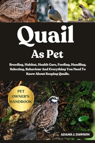 Quail pet breeding - as,