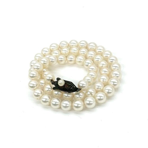 Akoya pearl genuine - genuine,